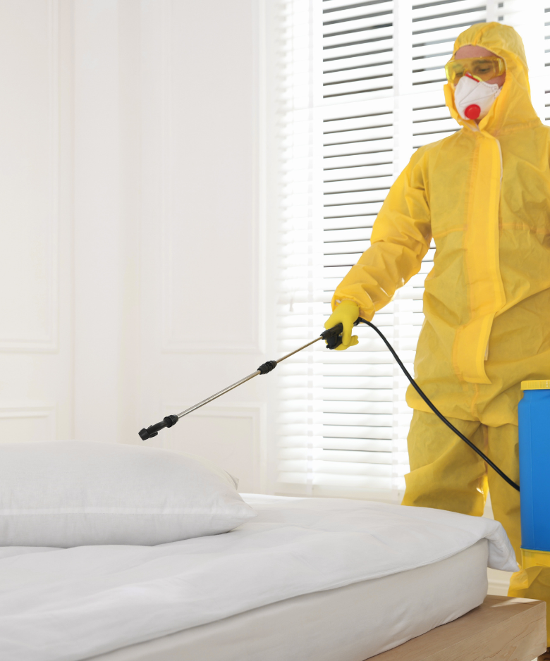 Professional Pest Control Team in Woodville West